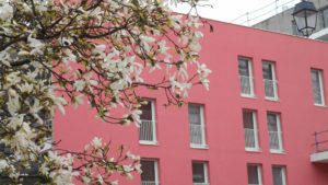 Peinture minérale écologique PeintureDuosil beton beeck